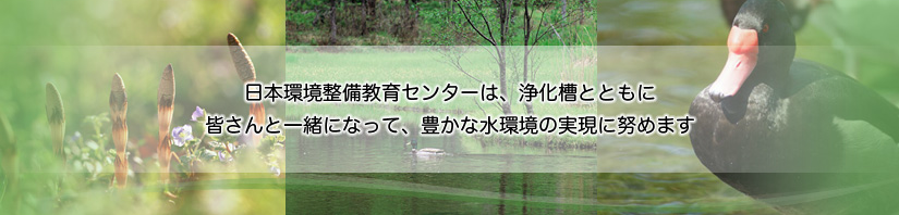 浄化
